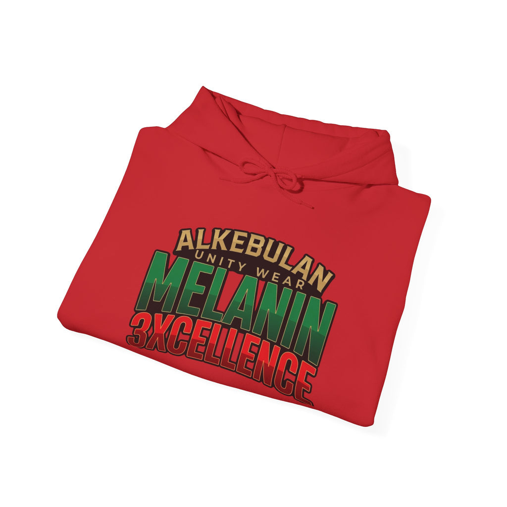 Melanin Excellence Graphic Pullover Hoodie. Unisex Heavy Blend™ Hooded Sweatshirt