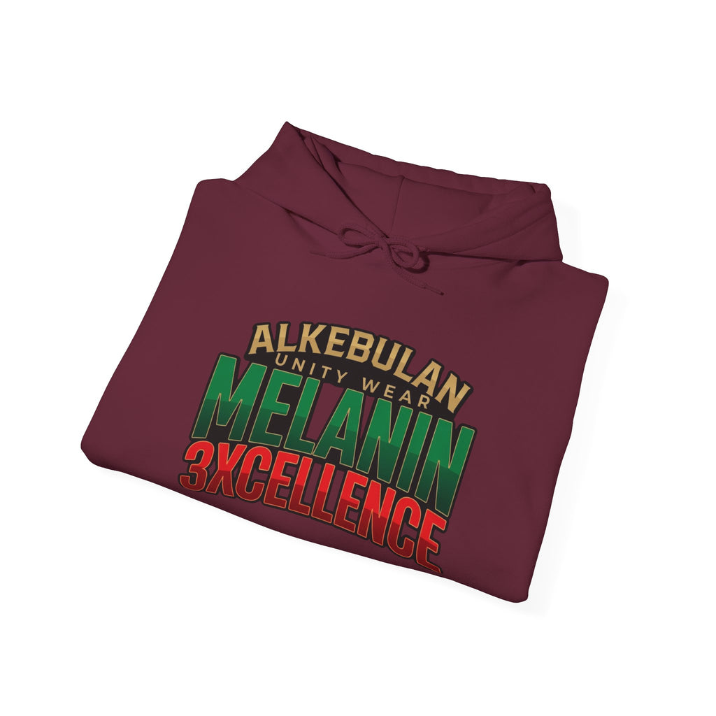 Melanin Excellence Graphic Pullover Hoodie. Unisex Heavy Blend™ Hooded Sweatshirt